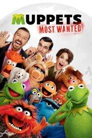 Muppets 2 – Ricercati