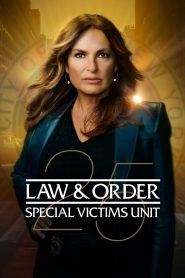 Law & Order – Unità vittime speciali: Stagione 25