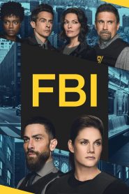 FBI: Stagione 6